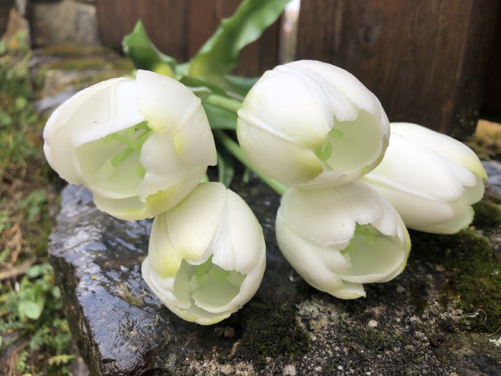 Umělé bílé tulipány latexové 40 cm